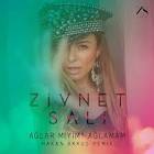 Ziynet Sali