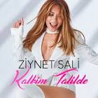 Ziynet Sali
