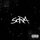 Phora